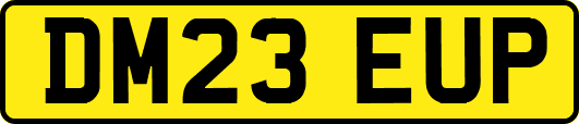 DM23EUP