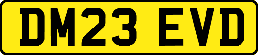 DM23EVD