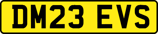 DM23EVS