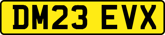 DM23EVX