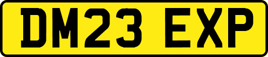 DM23EXP
