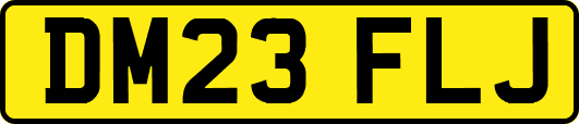 DM23FLJ