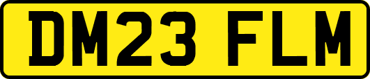 DM23FLM