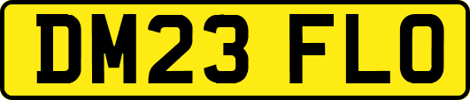 DM23FLO