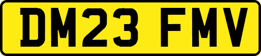 DM23FMV