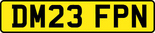 DM23FPN