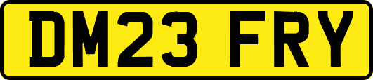 DM23FRY