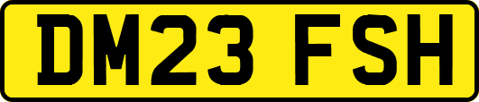 DM23FSH