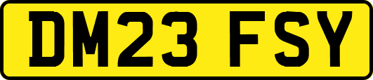 DM23FSY