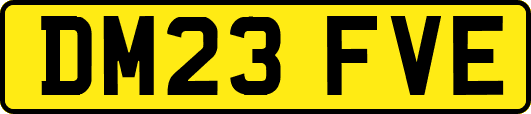 DM23FVE