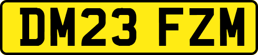 DM23FZM