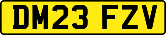 DM23FZV
