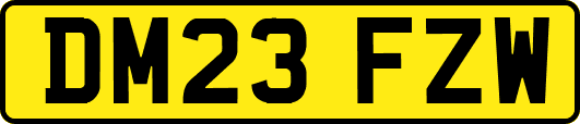 DM23FZW