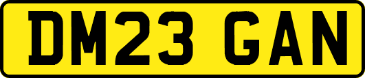 DM23GAN