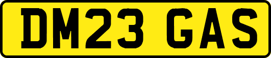 DM23GAS
