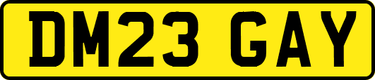 DM23GAY
