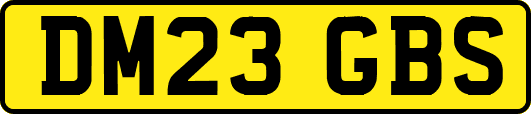 DM23GBS