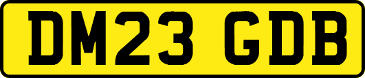 DM23GDB