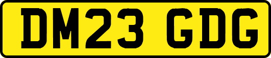 DM23GDG