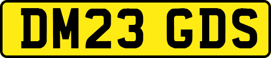 DM23GDS