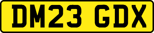 DM23GDX