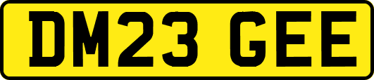 DM23GEE
