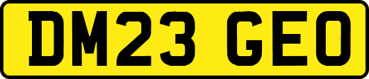 DM23GEO