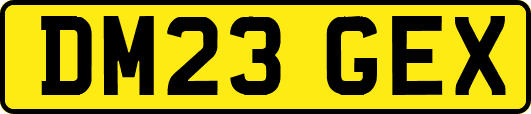 DM23GEX
