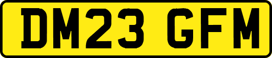 DM23GFM