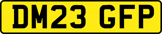 DM23GFP