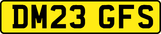 DM23GFS
