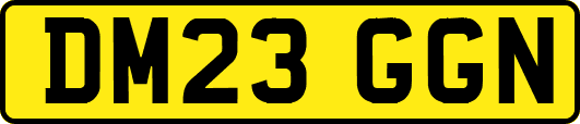 DM23GGN