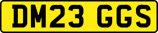DM23GGS
