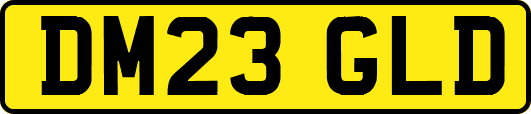 DM23GLD