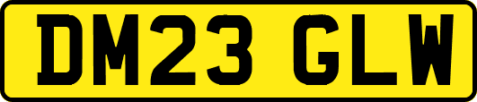 DM23GLW