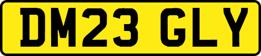DM23GLY