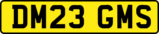 DM23GMS