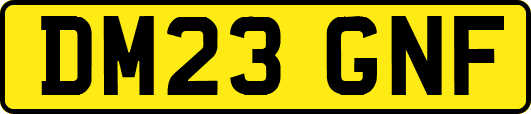 DM23GNF