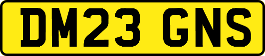 DM23GNS