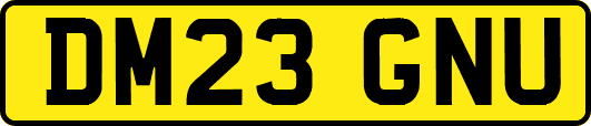 DM23GNU