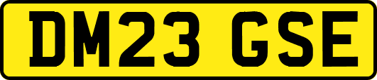 DM23GSE