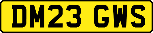 DM23GWS