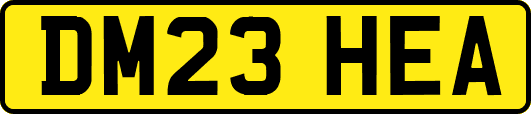 DM23HEA