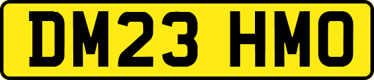 DM23HMO