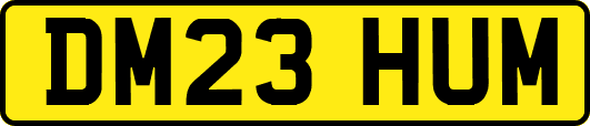 DM23HUM