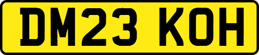 DM23KOH