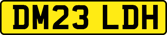 DM23LDH