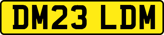 DM23LDM
