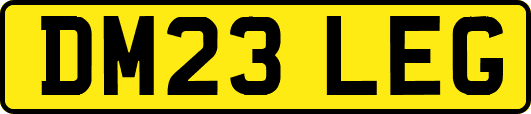 DM23LEG