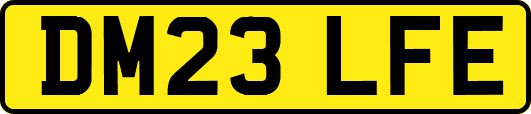 DM23LFE